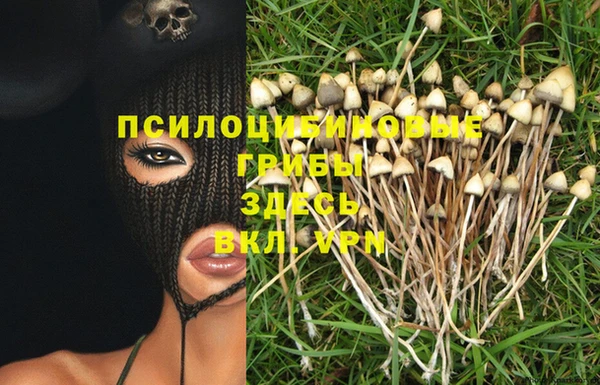 спайс Абинск