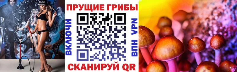 Псилоцибиновые грибы MAGIC MUSHROOMS  Балахна 