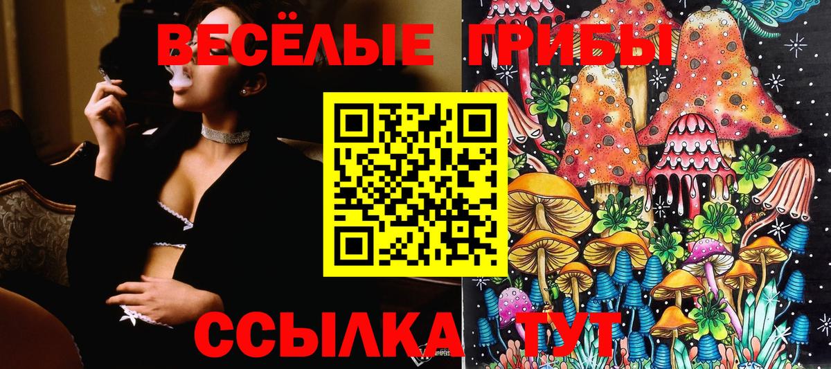 Псилоцибиновые грибы ЛСД Балахна